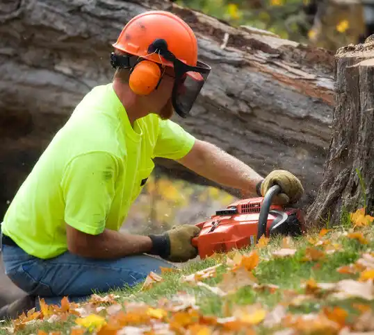 tree services Advance